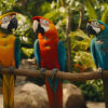 🦜 Choosing the Perfect Parrot Breed: Your Comprehensive Guide to Avian Companions