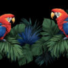 🌿 Parrot Nutrition Mastery: Feeding Tips for a Healthy, Vibrant Bird